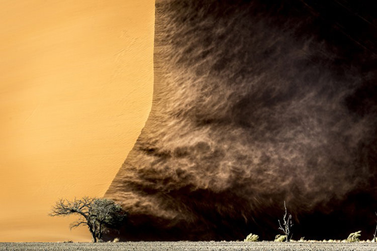 صحرای نامیب در نامیبیا