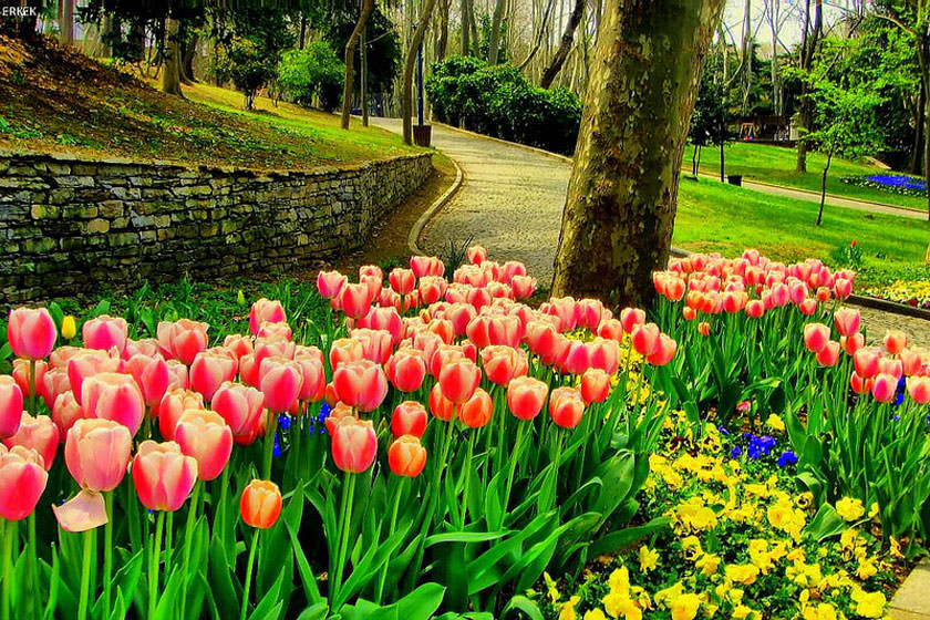 پارک گلخانه استانبول، قدیمی ترین پارک این شهر