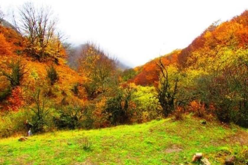 جنگل توسکستان، آشنایی با مقاصد تورهای طبیعت گردی ایران