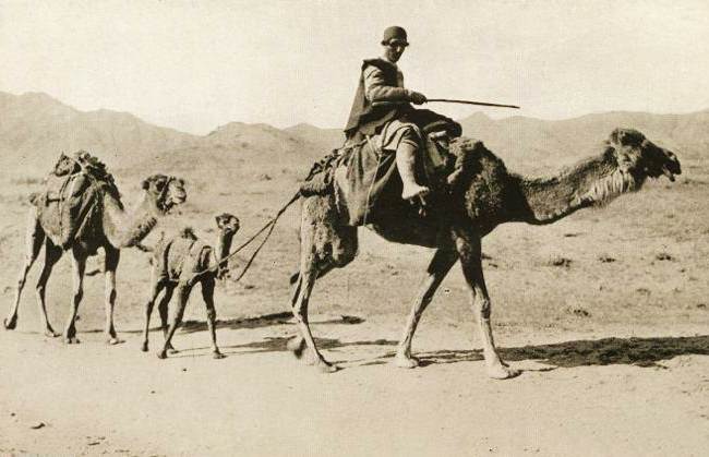 سفر در دوران قاجار