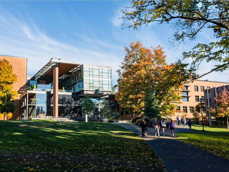 50 دانشکده برتر MBA