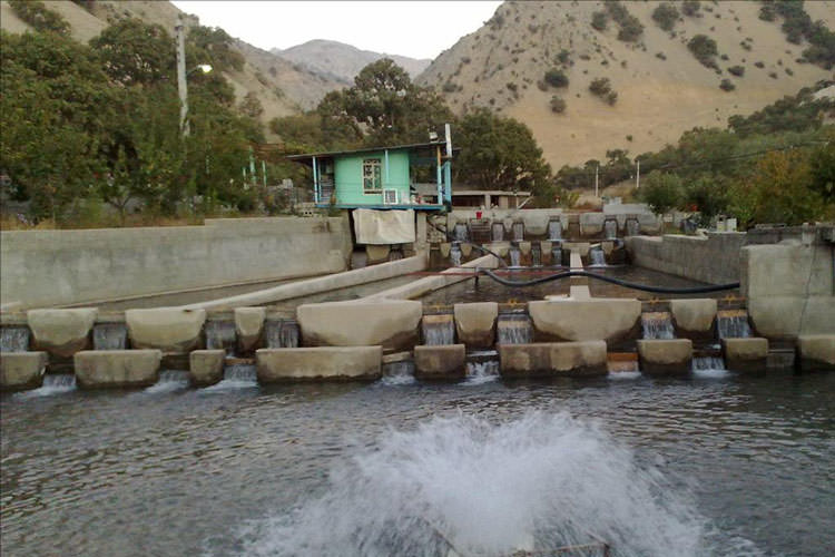 راهنمای سفر نوروزی به کهگیلویه و بویراحمد (بخش اول: یاسوج و سی‌سخت)