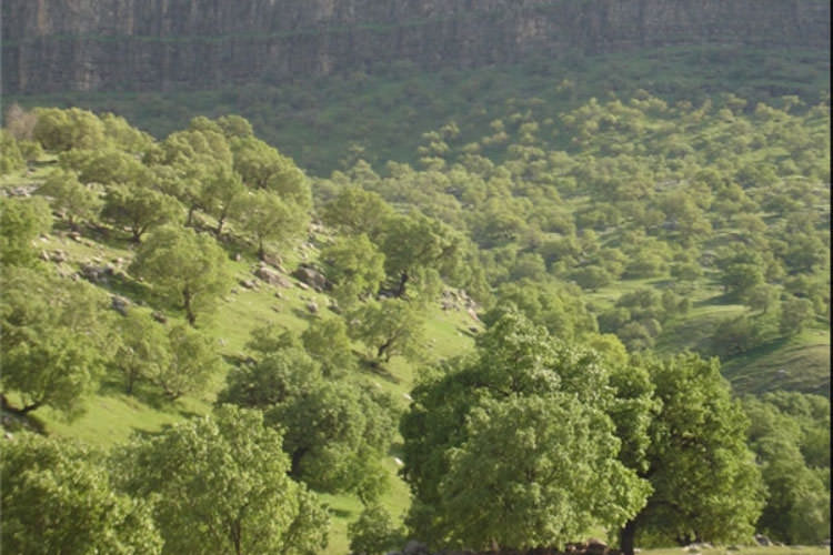 راهنمای سفر نوروزی به کهگیلویه و بویر احمد (قسمت دوم: شهرستان های استان)