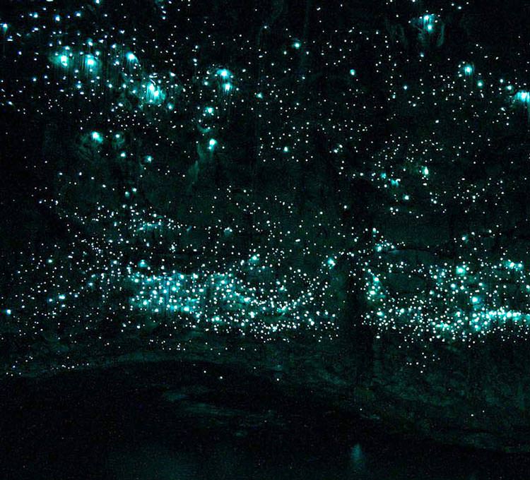 غارهای کرم شب تاب ویتومو