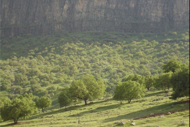 راهنمای سفر نوروزی به کهگیلویه و بویر احمد (قسمت دوم: شهرستان های استان)