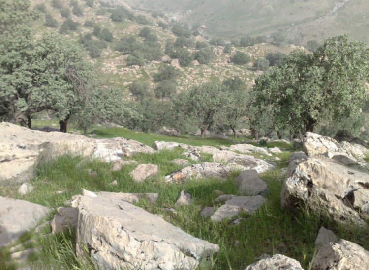 راهنمای سفر نوروزی به کهگیلویه و بویر احمد (قسمت دوم: شهرستان های استان)