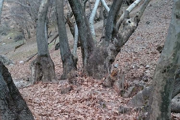 راهنمای سفر نوروزی به کهگیلویه و بویراحمد (بخش اول: یاسوج و سی‌سخت)