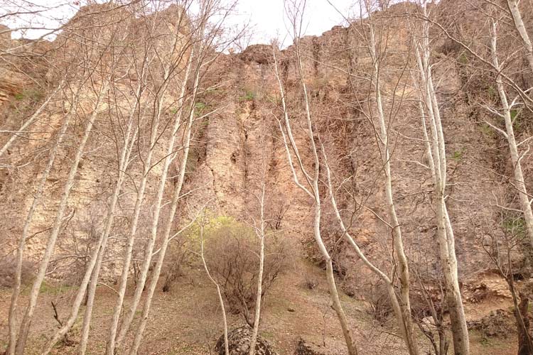 تنگ گنجه‌ای