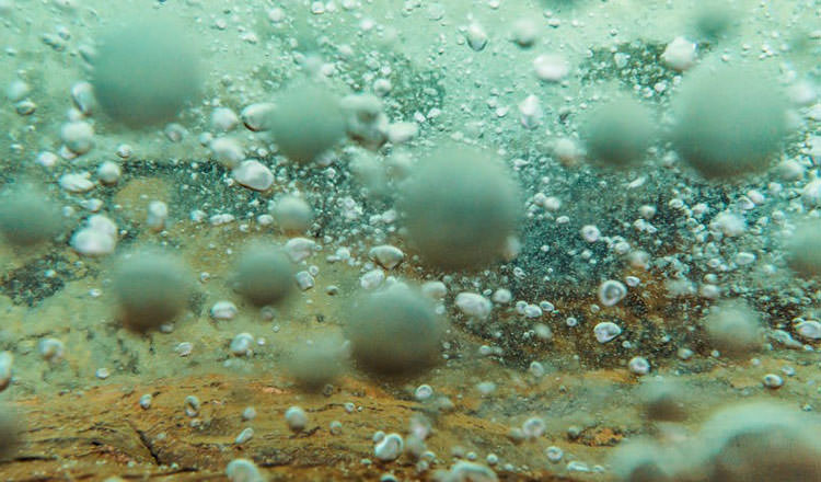 رودخانه جوشان پرو