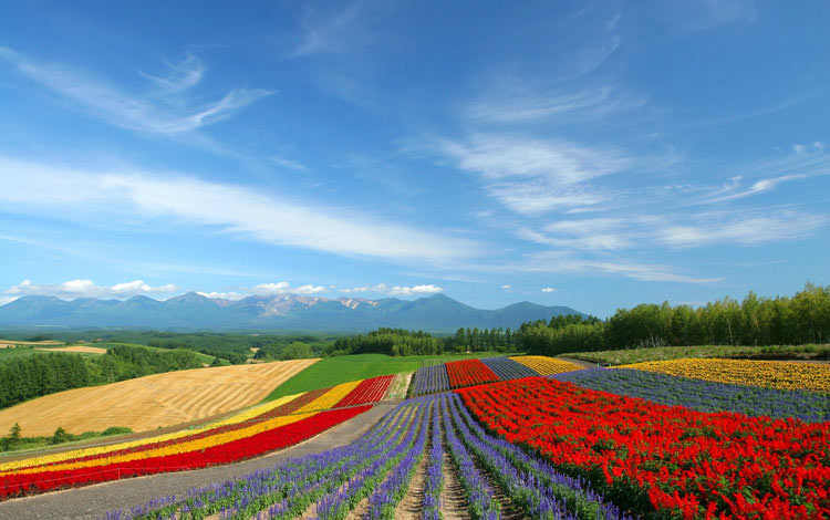 colorful-landscape