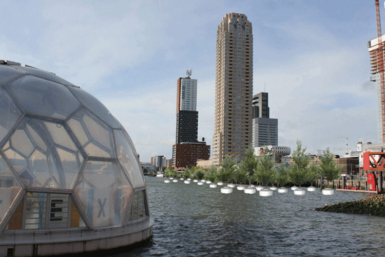 پروژه جنگل شناور