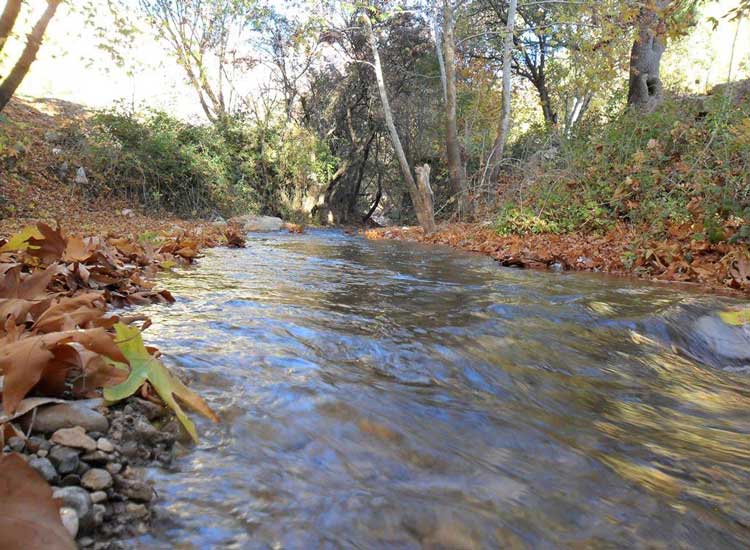 راهنمای سفر نوروزی به کهگیلویه و بویراحمد (بخش اول: یاسوج و سی‌سخت)