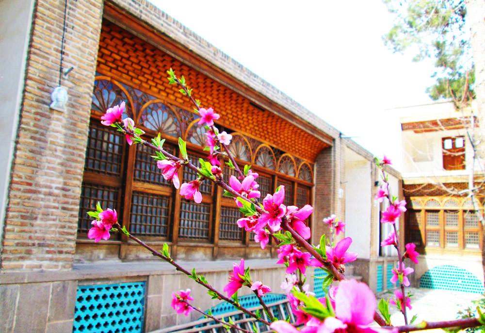 حسینه امینی ها