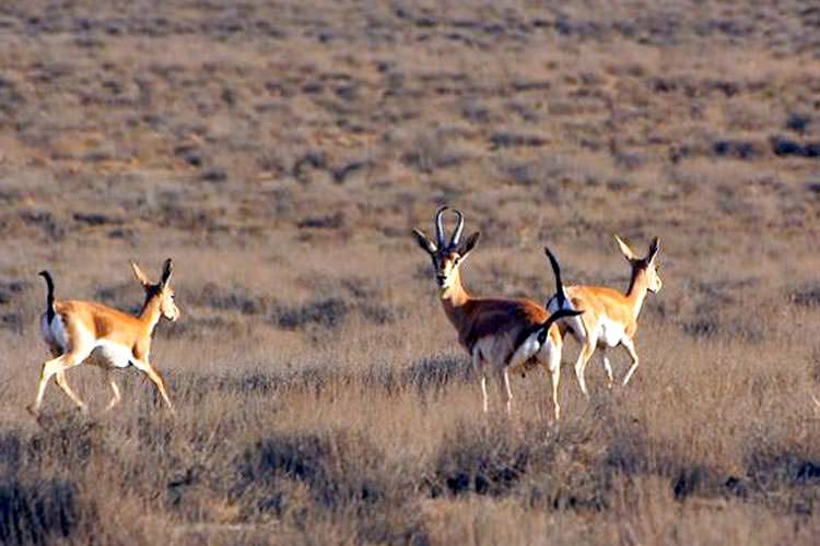 راهنمای سفر نوروزی به خراسان شمالی (قسمت اول)