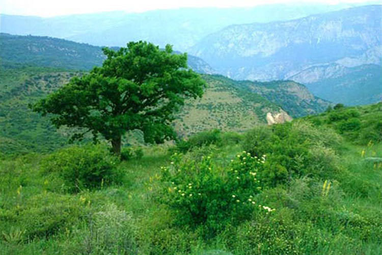 راهنمای سفر نوروزی به خراسان شمالی (قسمت اول)