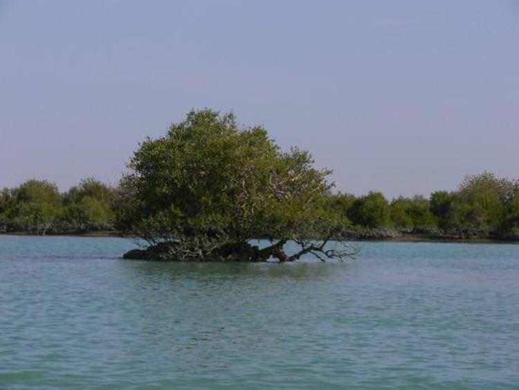 چابهار