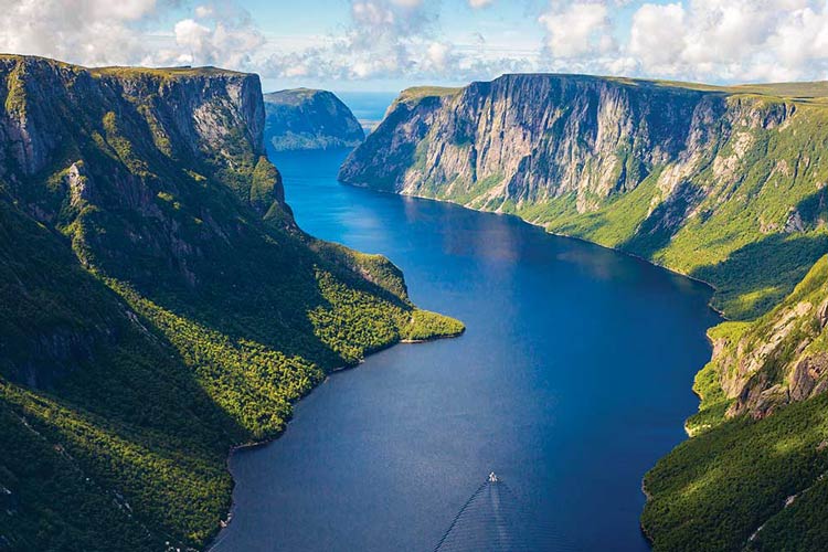 نیوفاندلند