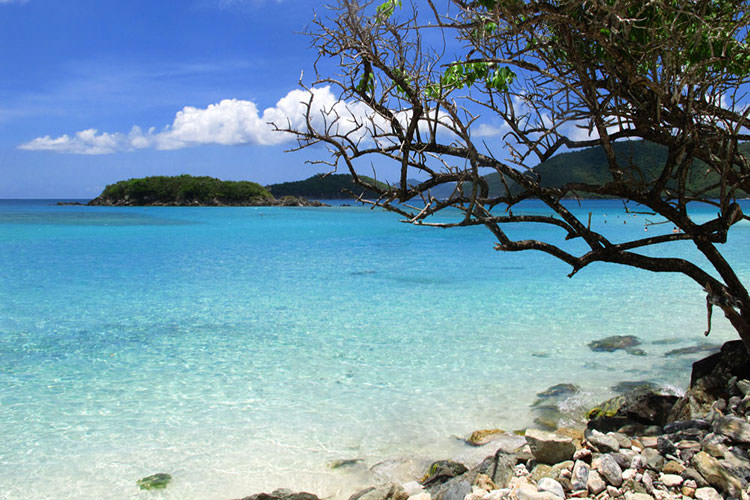 جزیره دارچین در کارائیب