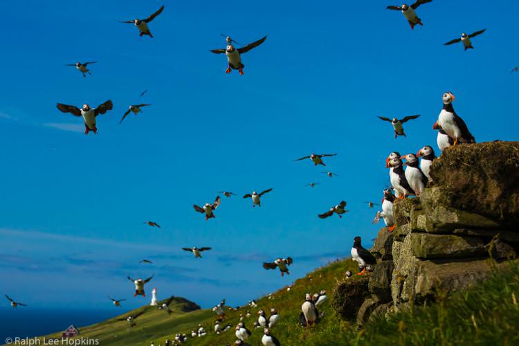 ۱۰. جزایر فارو (Faroe)، دانمارک