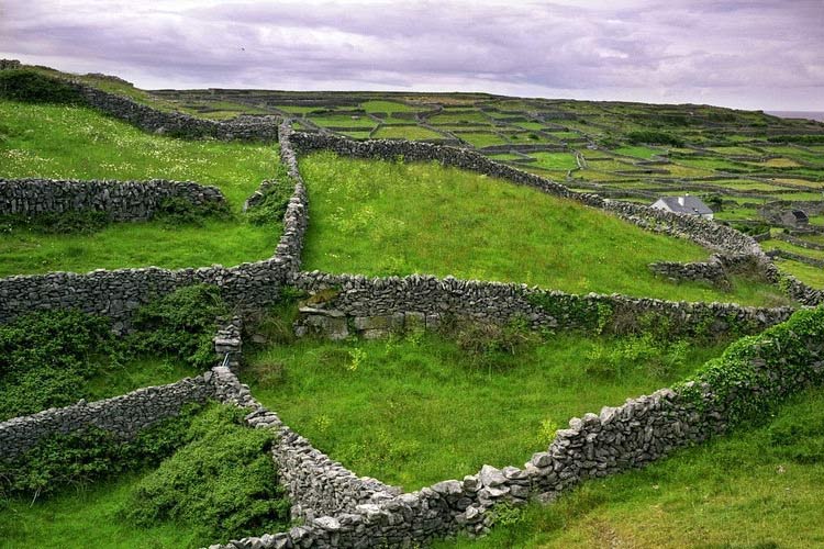 دیوار سنگی ایرلند