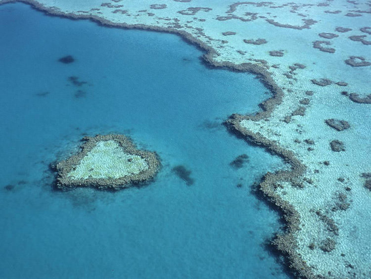 دیواره‌ی بزرگ مرجانی سواحل کوئینزلند