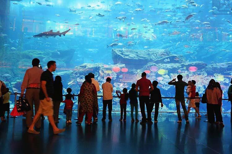 ۱۵ جاذبه لوکس در کشورهای نفتی حوزه خلیج‌ فارس