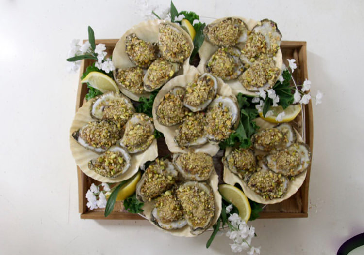 oyster 3