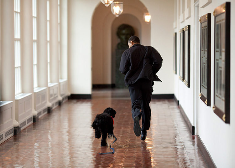 انتشار عکس‌های دیدنی از اقامت 8 ساله اوباما درکاخ سفید
