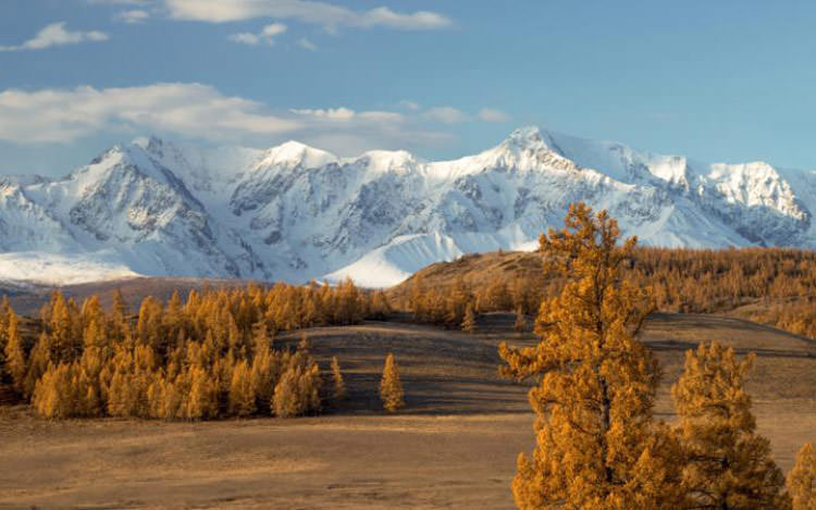 کوه های طلایی آلتای، روسیه 