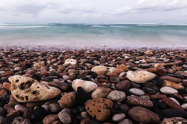 جزیره سوکوترا