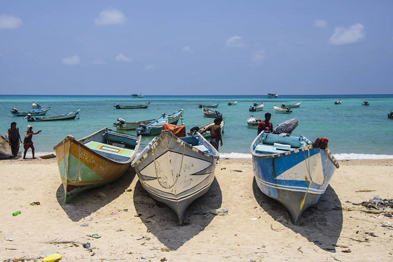 جزیره سوکوترا