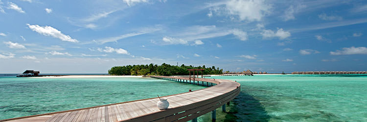 مالدیو 