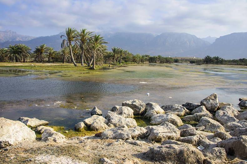 جزیره سوکوترا