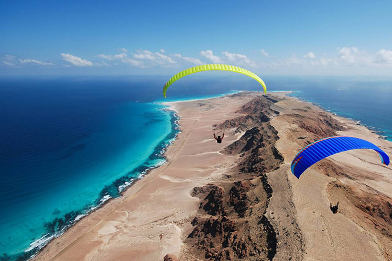 جزیره سوکوترا