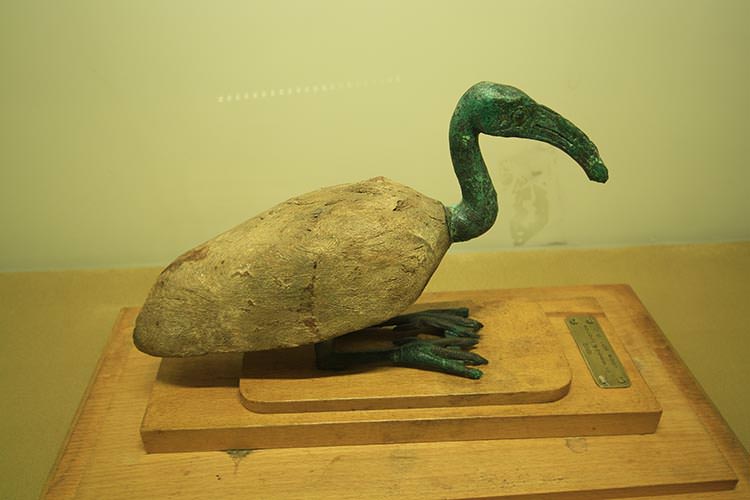 موزه جهان نما مجموعه نیاوران