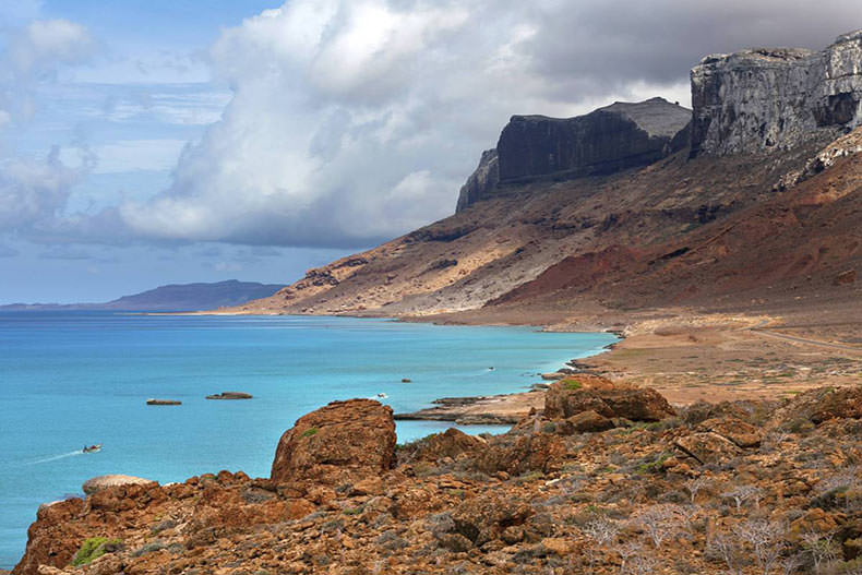 جزیره سوکوترا