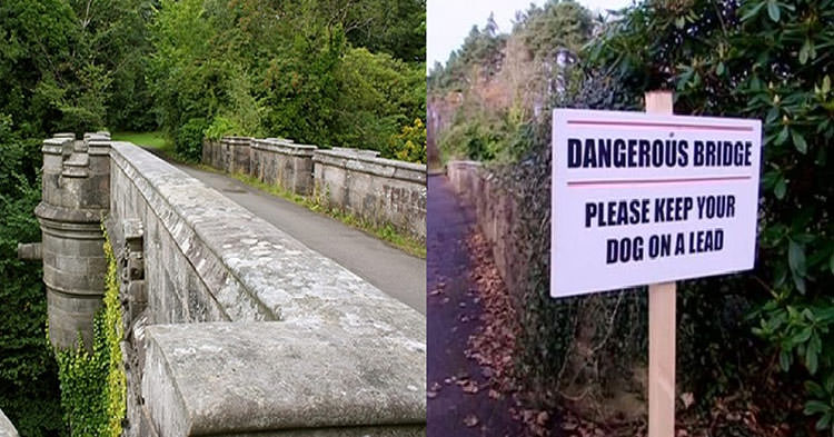 پل اوورتون در اسکاتلند، جایی برای خودکشی سگ‌ها