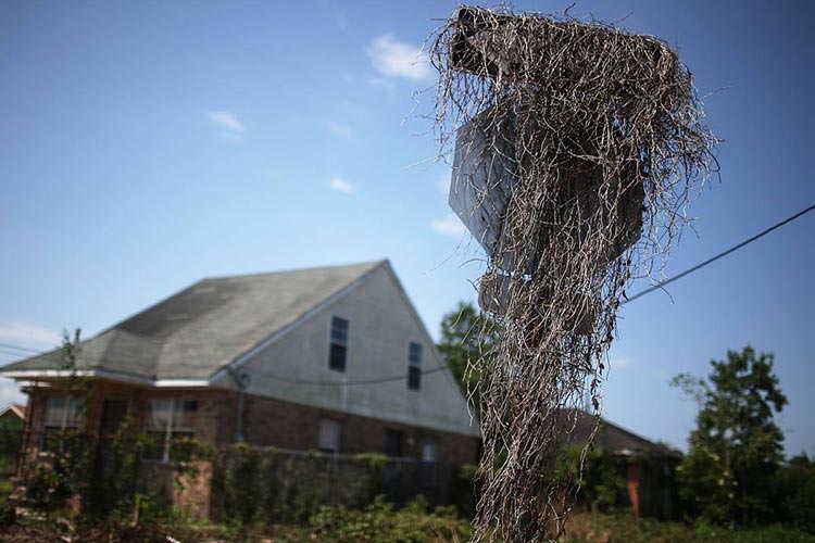 طوفان کاترینا