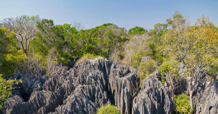 پارک ملی Tsingy de Bemaraha