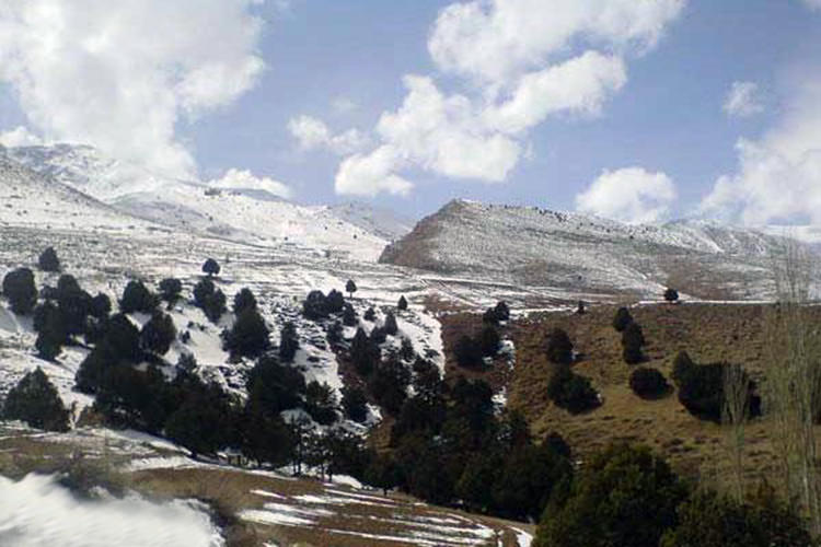 پارک ملی سالوک