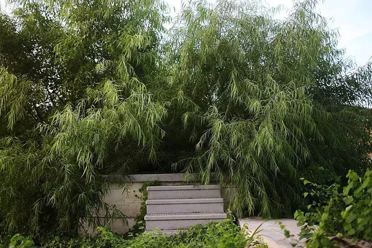 طوفان کاترینا