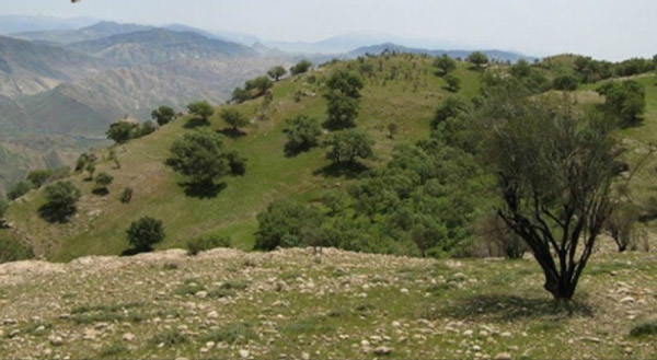 مسجد سلیمان