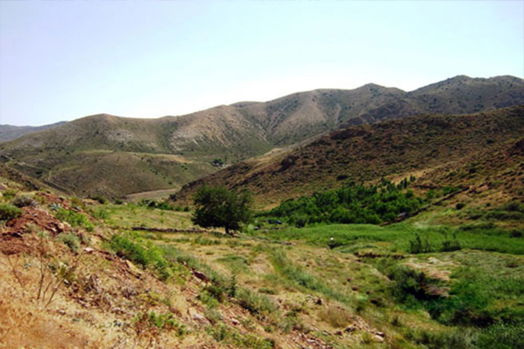 پارک ملی سالوک