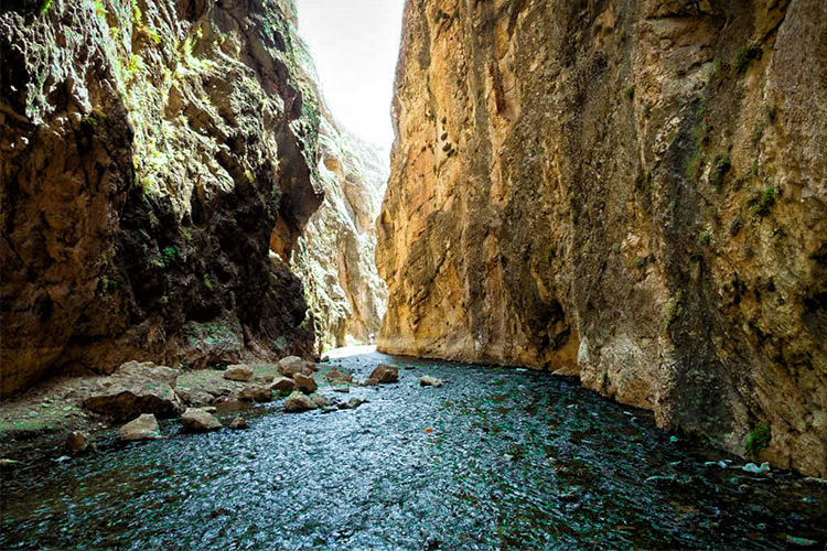 vashi-gorge