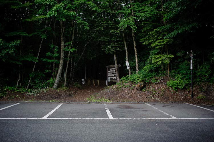جنگل خودکشی یا آئوکیگاهارا در ژاپن