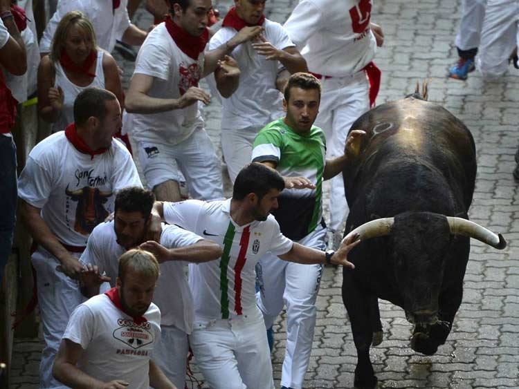 جشنواره دوندگی گاوهای اسپانیا