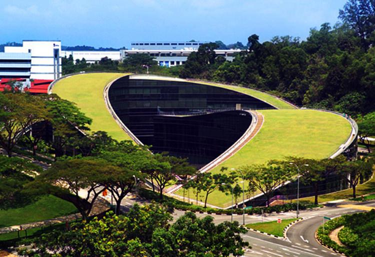 دانشگاه هنر در سنگاپور