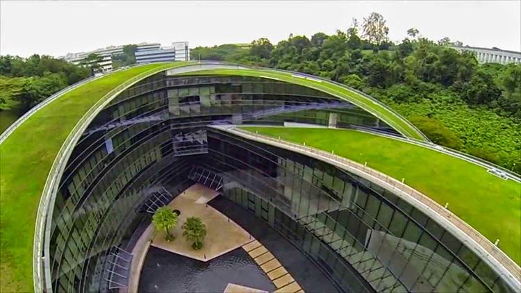 دانشگاه هنر در سنگاپور