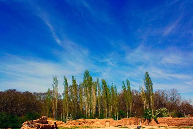 آرامستان دانسفهان