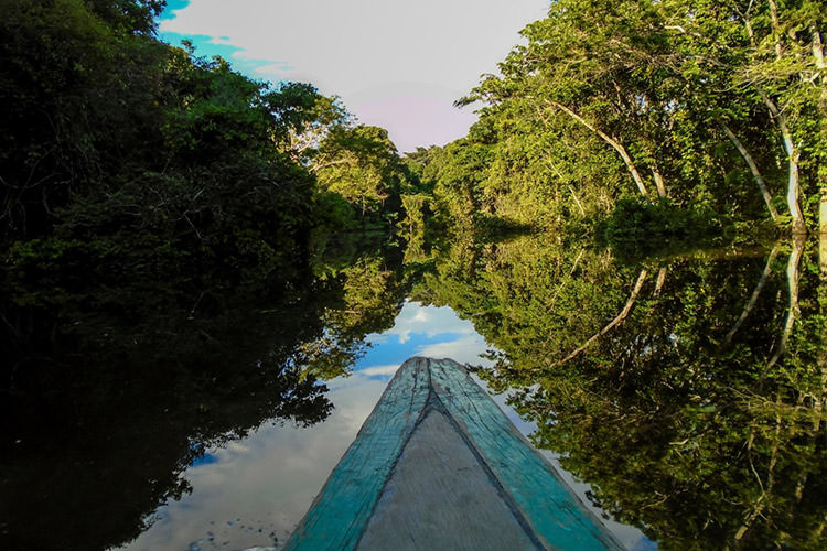 رودخانه ی آمازون